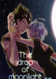 Cover | The drop of moonlight | View Image!