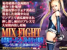 MIX FIGHT 小悪魔サーバント・バトルリョナ陵辱 | View Image!